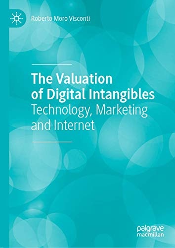 The Valuation of Digital Intangibles Technology, Marketing and Internet