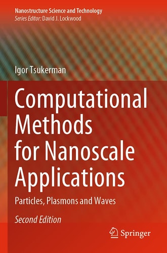 Computational Methods for Nanoscale Applications Particles, Plasmons and Waves