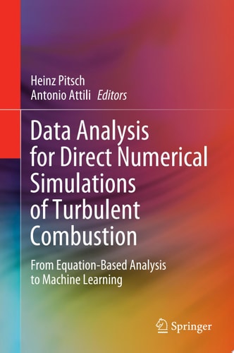Data Analysis for Direct Numerical Simulations of Turbulent Combustion