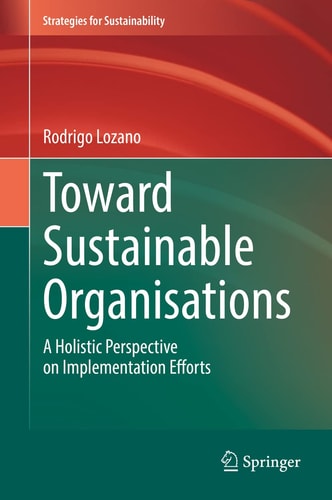 Toward Sustainable Organisations A Holistic Perspective on Implementation Efforts