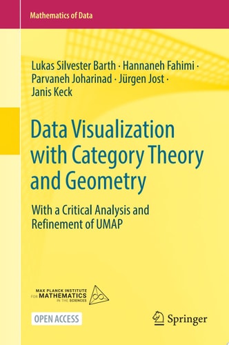 Data Visualization with Category Theory and Geometry With a Critical Analysis and Refinement of UMAP
