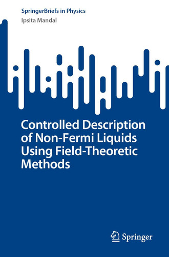 Controlled Description Of Non-Fermi Liquids Using Field-Theoretic Methods (SpringerBriefs in Physics)