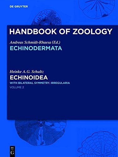 Echinoidea With Pentameral Symmetry