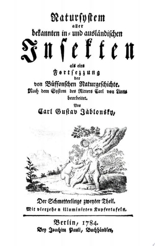 Der Schmetterlinge, Teil 2