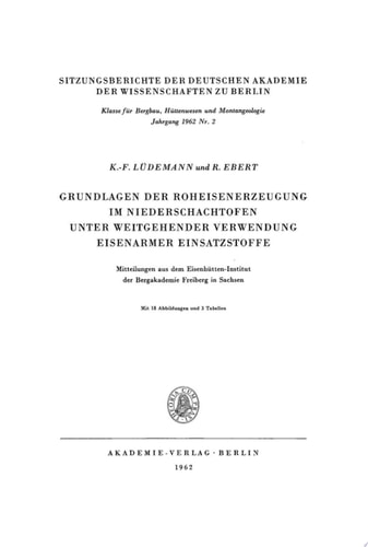 Grundlagen der Roheisenerzeugung im Niederschachtofen unter weitgehender Verwendung eisenarmer Einsatzstoffe