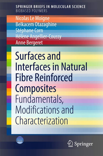 Surfaces and Interfaces in Natural Fibre Reinforced Composites Fundamentals, Modifications and Characterization