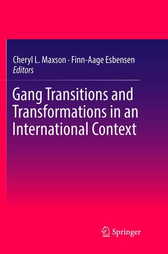 Gang Transitions and Transformations in an International Context