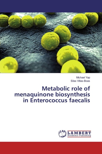 Metabolic Role of Menaquinone Biosynthesis in Enterococcus Faecalis