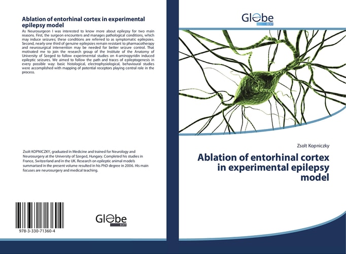 Ablation of Entorhinal Cortex in Experimental Epilepsy Model