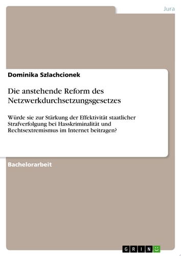 Die anstehende Reform des Netzwerkdurchsetzungsgesetzes Würde sie zur Stärkung der Effektivität staatlicher Strafverfolgung bei Hasskriminalität und Rechtsextremismus im Internet beitragen?