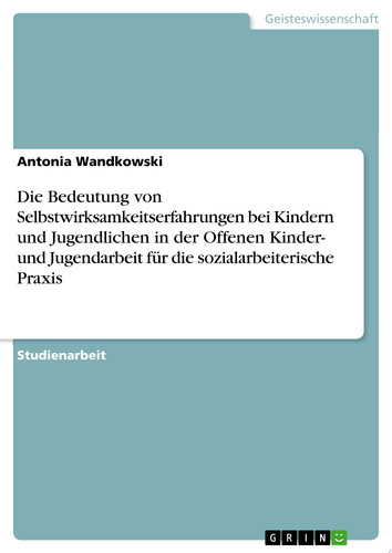 Die Bedeutung von Selbstwirksamkeitserfahrungen bei Kindern und Jugendlichen in der Offenen Kinder- und Jugendarbeit für die sozialarbeiterische Praxis