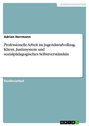 Professionelle Arbeit im Jugendstrafvollzug. Klient, Justizsystem und sozialpädagogisches Selbstverständnis