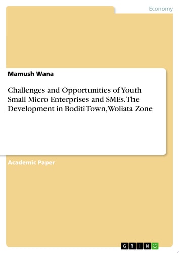 Challenges and Opportunities of Youth Small Micro Enterprises and SMEs. The Development in Boditi Town, Woliata Zone