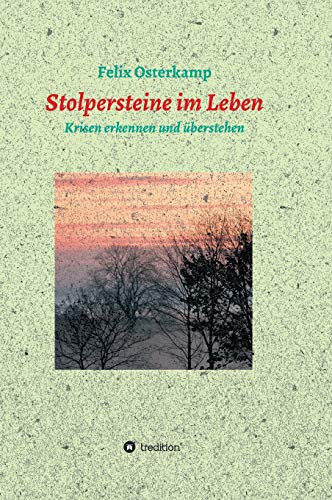 Stolpersteine im Leben - Krisen erkennen und überstehen