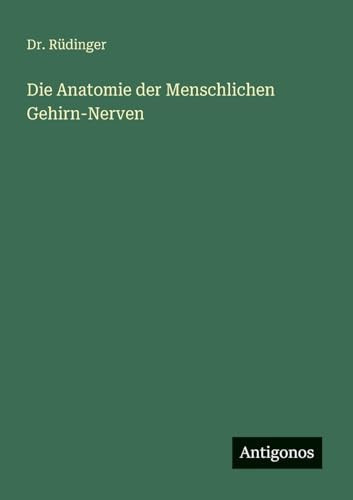 Die Anatomie der Menschlichen Gehirn-Nerven