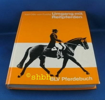 Umgang mit Reitpferden