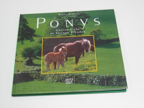 Ponys grosse Liebe zu kleinen Pferden