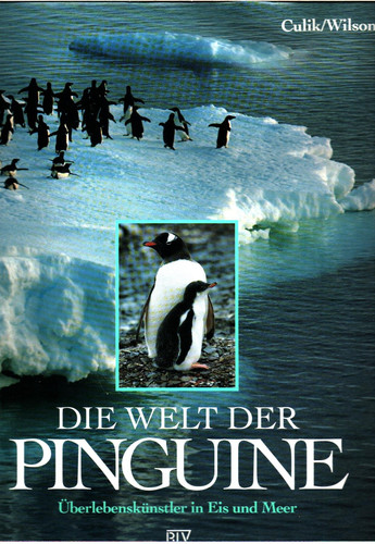 Die Welt der Pinguine Überlebenskünstler in Eis und Meer