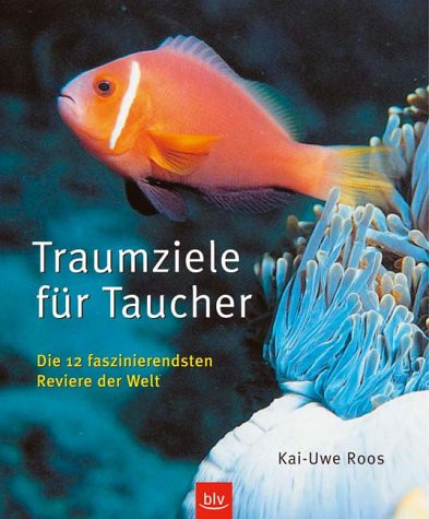 Traumziele für Taucher die 12 faszinierendsten Reviere der Welt