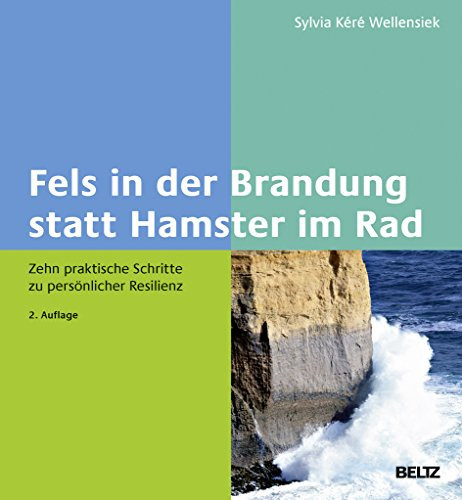 Fels in der Brandung statt Hamster im Rad zehn praktische Schritte zu persönlicher Resilienz