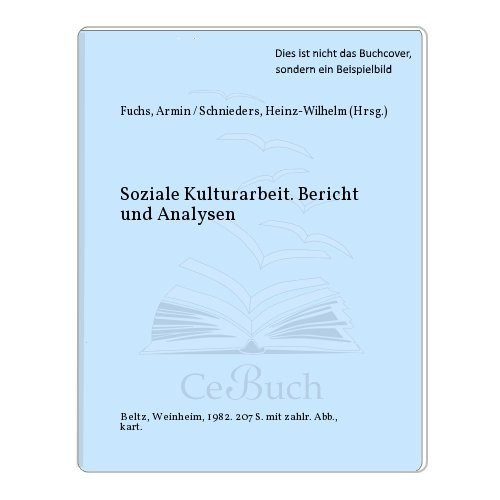Soziale Kulturarbeit: Berichte und Analysen (German Edition)