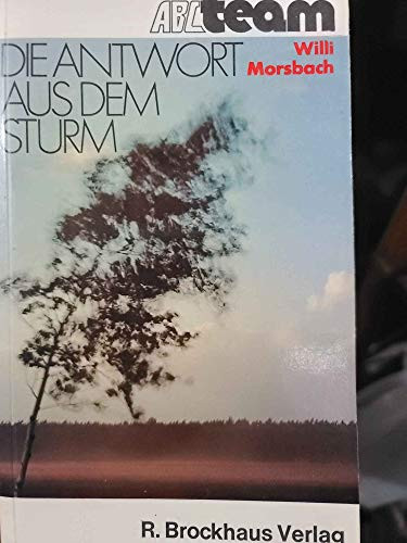 Die Antwort aus dem Sturm Roman
