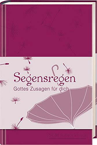 Segensregen Gottes Zusagen für dich