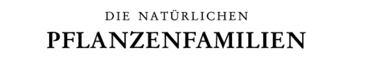Angiospermae: Ordnung Ranunculales Fam. Ranunculaceae