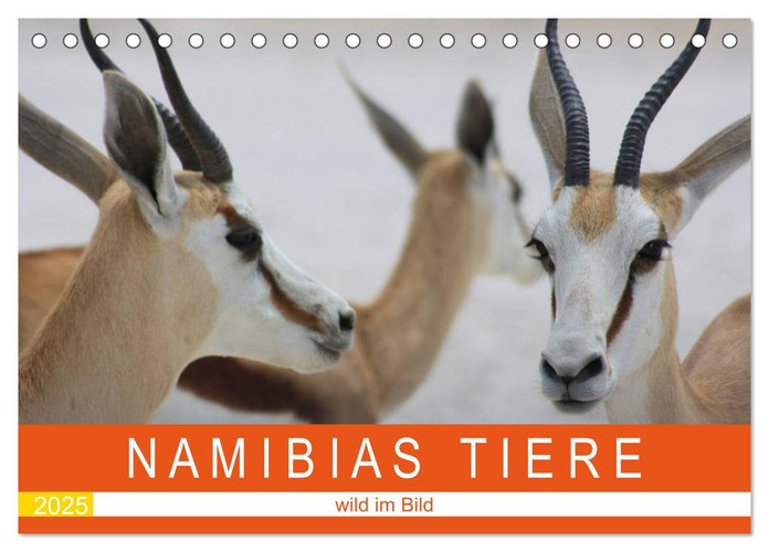 Namibia's Animals - Wild in the Picture (Desk Calendar 2025 DIN A5 Landscape), CALVENDO Monthly Calendar