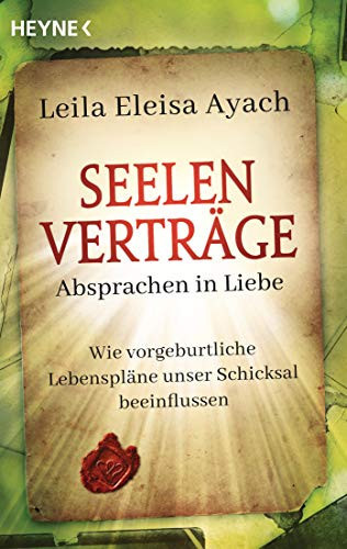 Seelenverträge: Absprachen in Liebe wie vorgeburtliche Lebenspläne unser Schicksal beeinflussen