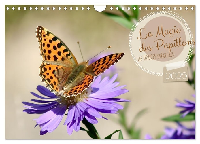 LA MAGIE DES PAPILLONS 2025 (Calendrier mural 2025 DIN A4 horizontal), CALVENDO calendrier mensuel [Calendar] Rau, Anja