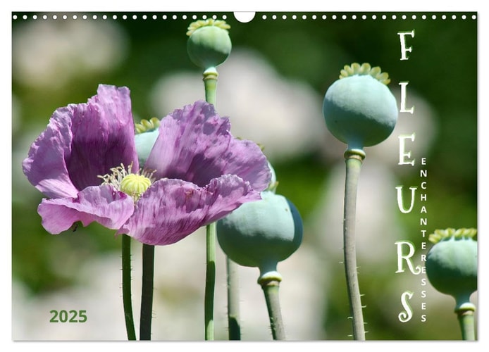 DES FLEURS ENCHANTERESSES (Calendrier mural 2025 DIN A3 horizontal), CALVENDO calendrier mensuel [Calendar] Rau, Anja