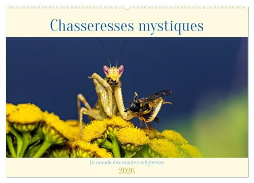 Chasseresses mystiques (Calendrier mural 2026 DIN A2 vertical), CALVENDO calendrier mensuel: Chasseresses mystiques - Le monde des mantes religieuses