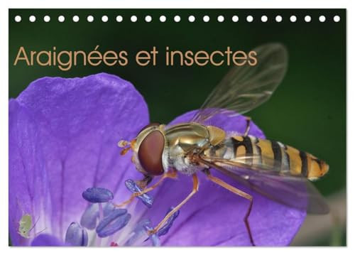 Araignées et insectes (Calendrier de bureau 2026 DIN A5 vertical), CALVENDO calendrier mensuel: Un calendrier sur les araignées et les insectes qui nous entourent.