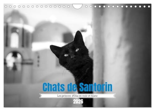 Chats de Santorin - Les princes d'Oia en noir et blanc (Calendrier mural 2026 DIN A4 vertical), CALVENDO calendrier mensuel: Quelques portraits de chats croisés au hasard des ruelles d'Oia.