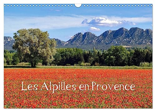 Les Alpilles en Provence (Calendrier mural 2026 DIN A3 vertical), CALVENDO calendrier mensuel: Regard sur les paysages du Parc Naturel Régional des Alpilles.