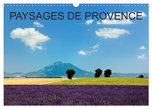 Paysages de Provence (Calendrier mural 2026 DIN A3 vertical), CALVENDO calendrier mensuel: Voyagez mois par mois à travers la plus populaire région de France.