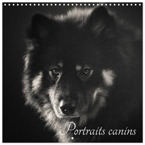 Portraits canins (Calendrier mural carré 2026 30x30 cm) Calendrier double avec une page pour vos prises de notes: 12 races de chiens représentées en 12 portraits.