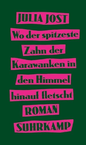 Wo der spitzeste Zahn der Karawanken in den Himmel hinauf fletscht Roman
