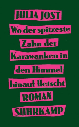 Wo der spitzeste Zahn der Karawanken in den Himmel hinauf fletscht Roman