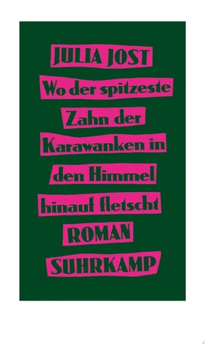 Wo der spitzeste Zahn der Karawanken in den Himmel hinauf fletscht Roman | Eine Coming-of-Age-Geschichte voller Drive und Witz