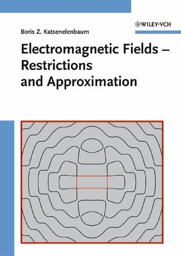 Electromagnetic Fields Restrictions and Approximation