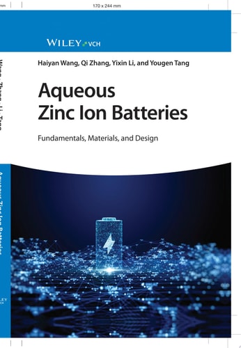 Aqueous Zinc Ion Batteries