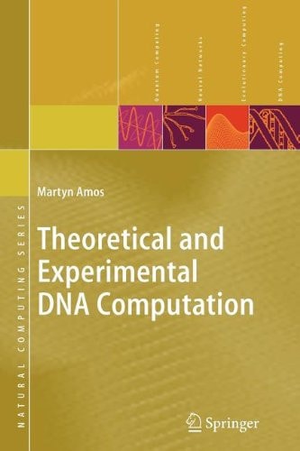 Theoretical and Experimental DNA Computation
