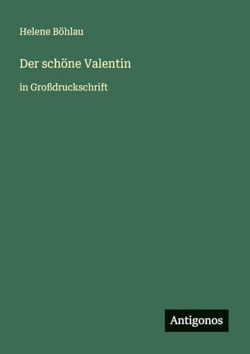 Der schöne Valentin: in Großdruckschrift (German Edition)