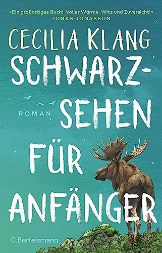 Schwarzsehen für Anfänger Roman