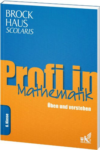 Profi in Mathematik Kl. 6. Hauptbd.