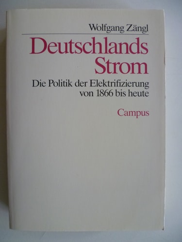 Deutschlands Strom die Politik der Elektrifizierung von 1866 bis heute