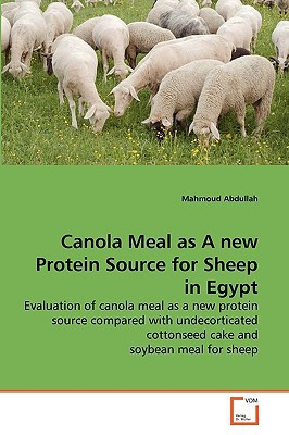 Canola Meal as A new Protein Source for Sheep in Egypt: Evaluation of canola meal as a new protein source compared with undecorticated cottonseed cake and soybean meal for sheep