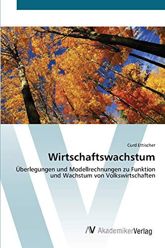 Wirtschaftswachstum: Überlegungen und Modellrechnungen zu Funktion und Wachstum von Volkswirtschaften (German Edition)